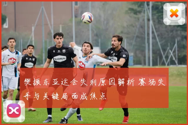 樊振东亚运会失利原因解析 赛场失手与关键局面成焦点