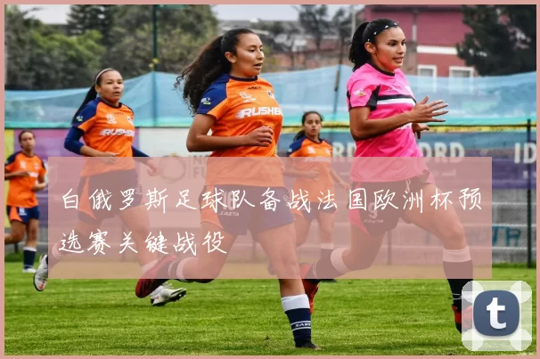 白俄罗斯足球队备战法国欧洲杯预选赛关键战役