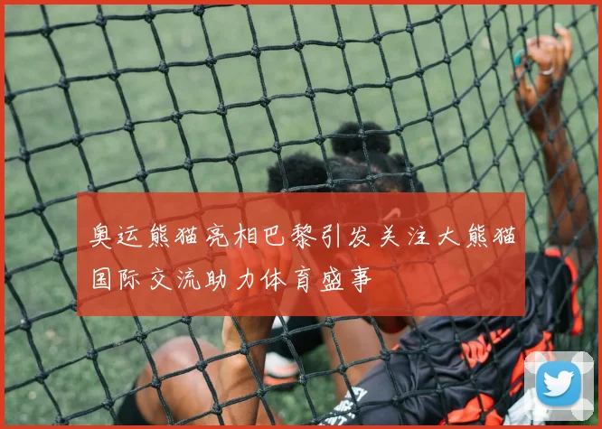 奥运熊猫亮相巴黎引发关注大熊猫国际交流助力体育盛事