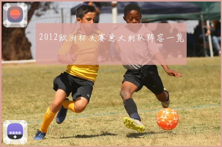 2012欧洲杯决赛意大利队阵容一览