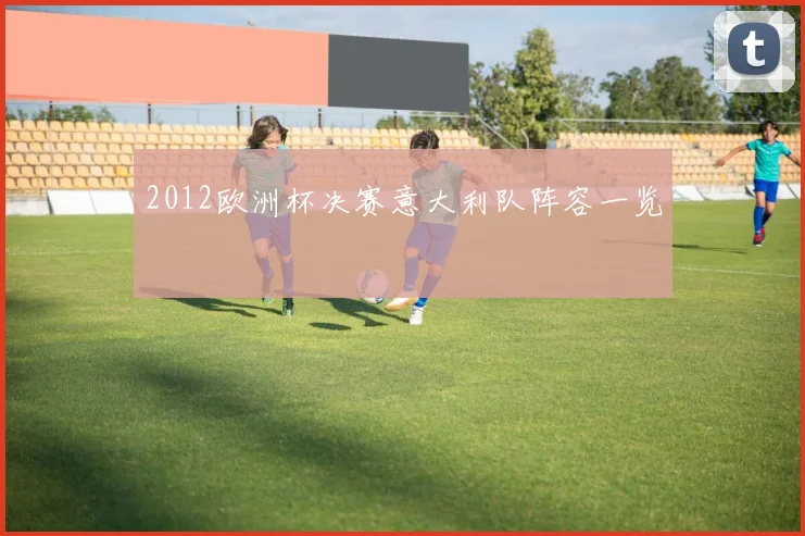 2012欧洲杯决赛意大利队阵容一览